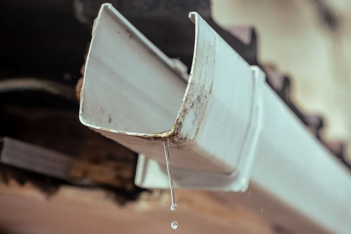 Rainwater dripping from a roof gutter