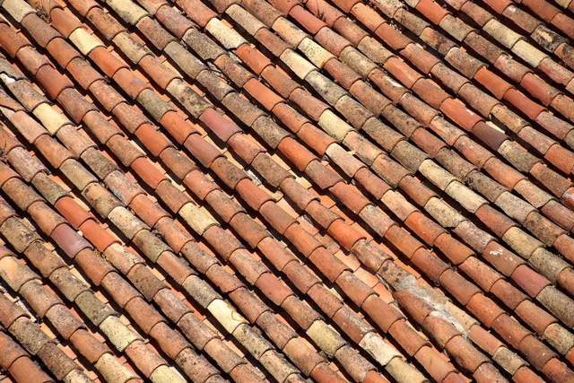 Overlapping clay tiles on a pitched roof